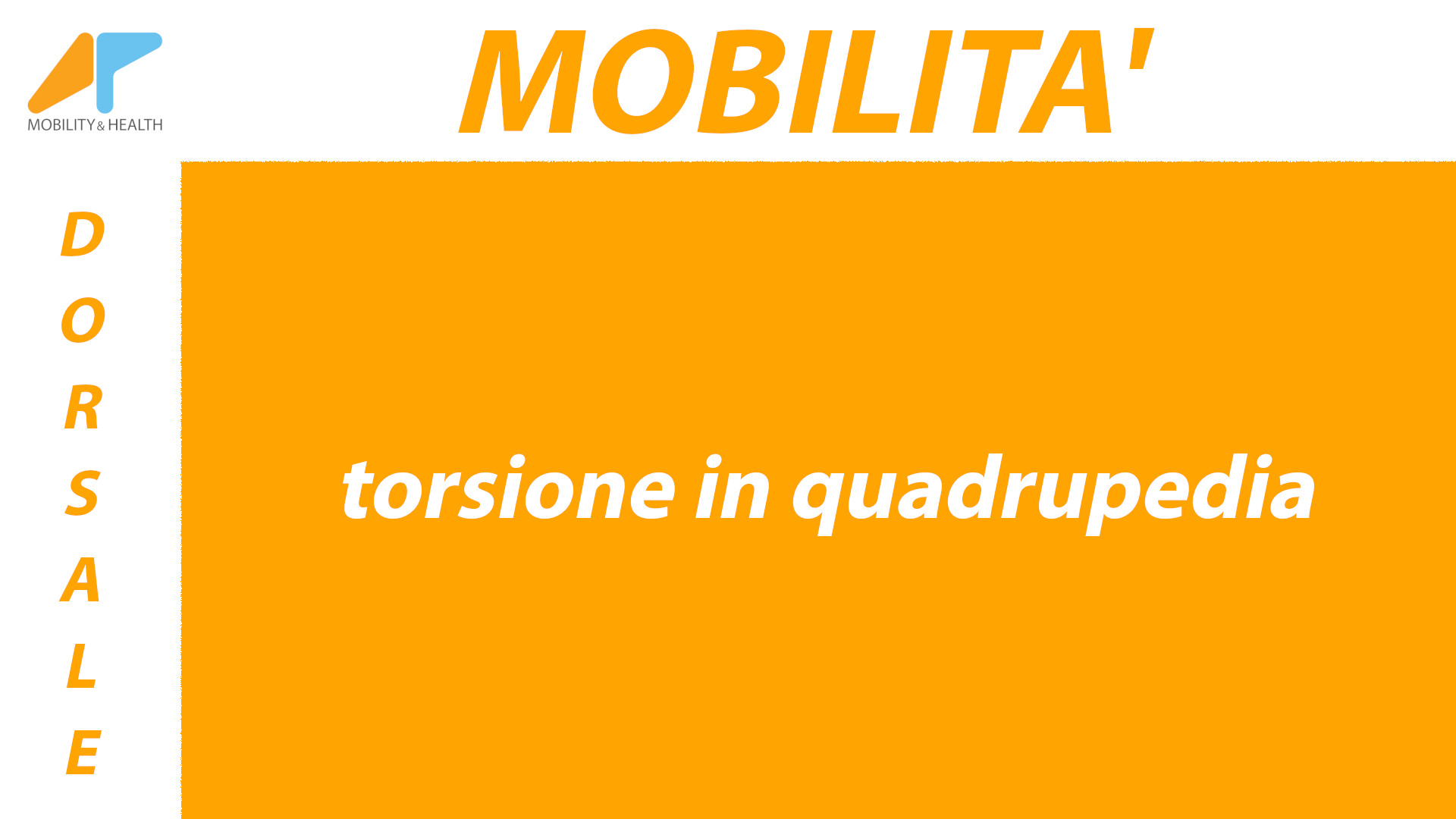 Mobilita-dorsale-torsione-quadrupedia Alessandro Paoluzzi Fisioterapista Ud